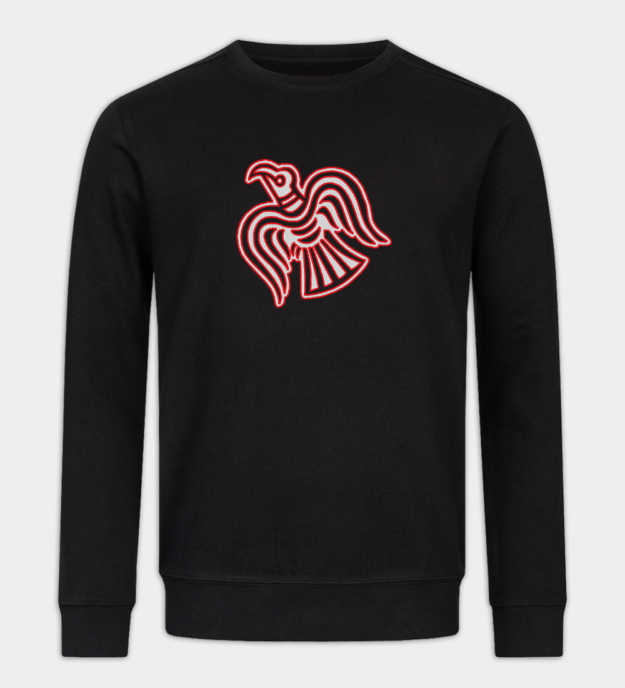 Viking Raven Motif Embroidered Sweatshirt
